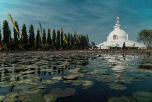 Fra Delhi: 14 dages buddhistisk rundrejse med adgang til Nepal