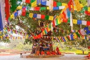 Fra Delhi: 14 dages buddhistisk rundrejse med adgang til Nepal