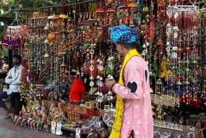 Från Delhi: 15 dagars rundresa bortom Gyllene triangeln