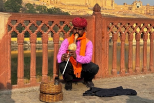 Från Delhi: 15 dagars rundresa bortom Gyllene triangeln