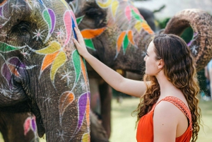 Da Delhi: tour espresso del Triangolo d'Oro di 2 giorni Agra e Jaipur