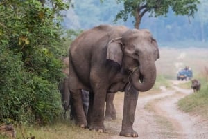 Delhi : visite privée d'une jounée de la vieille ville et de la nouvelle ville de Delhi