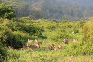 Delhi : visite privée d'une jounée de la vieille ville et de la nouvelle ville de Delhi