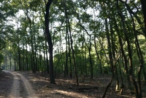 Delhi : visite privée d'une jounée de la vieille ville et de la nouvelle ville de Delhi