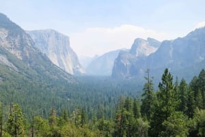 Delhi : visite privée d'une jounée de la vieille ville et de la nouvelle ville de Delhi