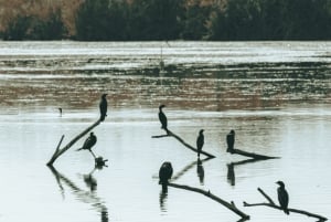 Delhi : visite privée d'une jounée de la vieille ville et de la nouvelle ville de Delhi