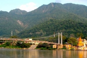 Fra Delhi: 2-dagers tur til Rishikesh og Haridwar