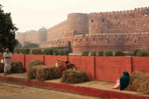 Desde Delhi: Tour Privado de 2 Días por Nueva Delhi y el Taj Mahal, Agra