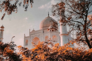 Desde Delhi: Tour Privado de 2 Días por Nueva Delhi y el Taj Mahal, Agra