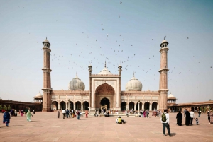 Ab Delhi: 3-tägige Tour durch das Goldene Dreieck mit Agra und Jaipur