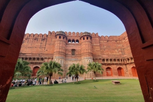 Från Delhi: 3-dagars Golden Triangle Tour med Elephant SOS