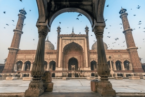 Från Delhi: 3-dagars Golden Triangle Tour med Elephant SOS