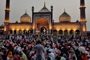 Z Delhi: 3-dniowa wycieczka po Złotym Trójkącie