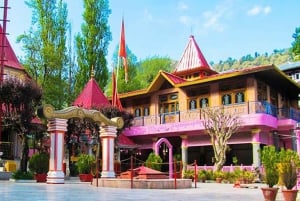 From Delhi: 3-Day Nainital Tour by Car with Accommodation