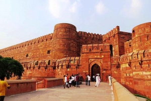 Da Delhi: tour privato di 3 giorni del Triangolo d'Oro