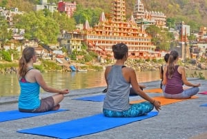 Desde Delhi: tour privado de 3 días por Rishikesh y Haridwar