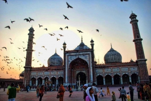 Z Delhi: 3-dniowa wycieczka do Agry, Fatehpur Sikri i Jaipur