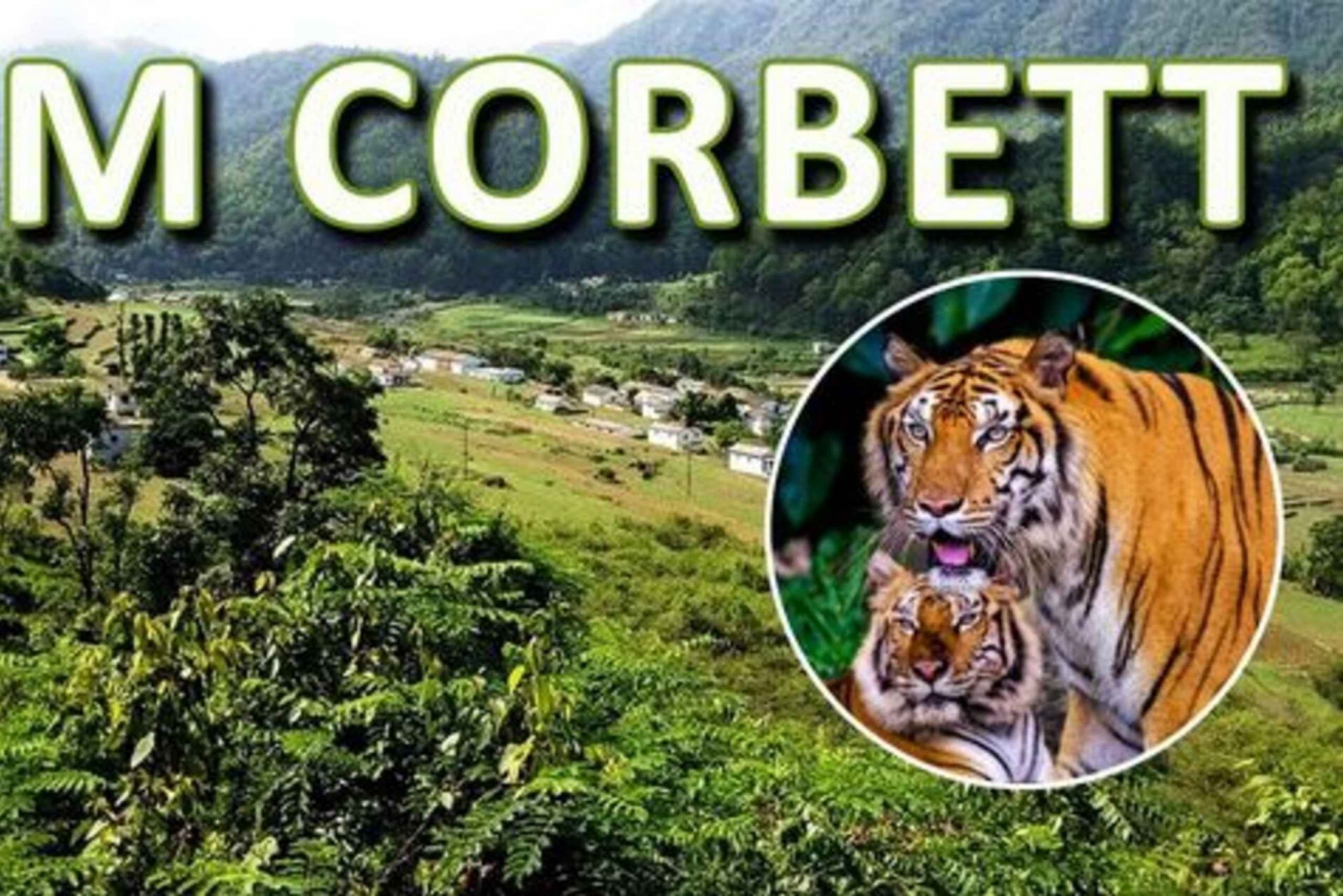 Fra Delhi: 3-dages udflugt til Jim Corbett National Park med dyreliv