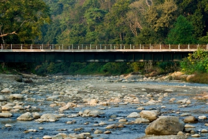 Au départ de Delhi : excursion de 3 jours dans le parc national de Jim Corbett