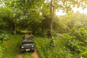 Van Delhi: driedaagse natuurtrip naar Jim Corbett National Park