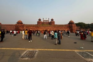 Fra Delhi: 3-dages rundtur til Delhi, Agra og Jaipur i bil