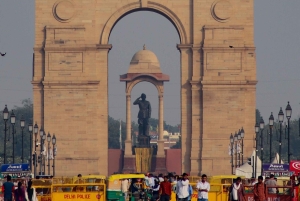 From Delhi: 3 Days Golden Traingle Tour With Tiger Safari