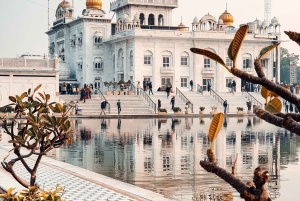 From Delhi: 3 Days Golden Traingle Tour With Tiger Safari