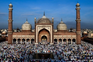 Fra Delhi: 3-dagers tur i Golden Triangle