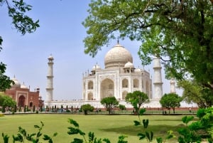 Da Delhi: tour privato di 3 giorni del Triangolo d'Oro
