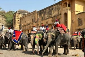 Tour di 6 giorni del Triangolo d'Oro: Taj Mahal, Jaipur e Ranthambore
