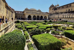 Delhi: Privat 3-dagers tur med tigersafari i Jaipur og Ranthambore