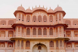 Delhi: Tour privato di 3 giorni con safari delle tigri di Jaipur e Ranthambore