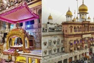 Fra Delhi: 3-timers Old Delhi Tuk-Tuk-tur med opsamling