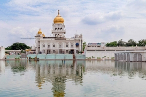 Ab Delhi: 4-tägige Delhi-, Agra-, Jaipur- & Tiger-Safari-Tour