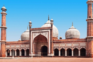 De Delhi: Tour particular de 4 dias pelo Triângulo Dourado de carro