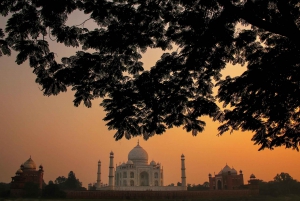 Ab Delhi: 4-tägige geführte Tour durch das Goldene Dreieck und Ranthambore