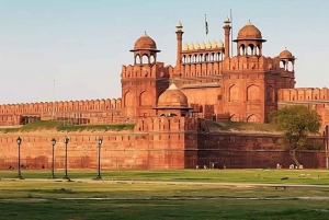 Vanuit Delhi: 4-daagse rondleiding door de Gouden Driehoek & Ranthambore