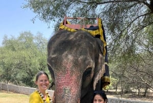 Ab Delhi: 4-tägige geführte Tour zum Goldenen Dreieck & Ranthambore