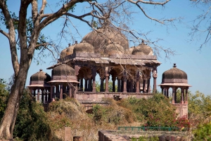 Da Delhi: Triangolo d'oro di 4 giorni e Ranthambore Tiger Safari