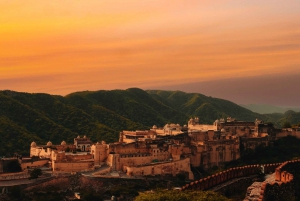 Au départ de Delhi : 4 jours dans le Triangle d'Or et safari des tigres de Ranthambore