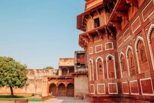 Fra Delhi: 4-dages tur i Den Gyldne Trekant med Agra og Jaipur