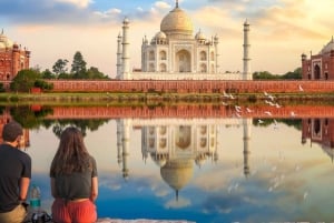 Fra Delhi: 4-dages tur i Den Gyldne Trekant med Agra og Jaipur