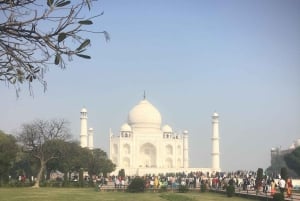 Vanuit Delhi: 4-daagse privétour Gouden Driehoek met opties