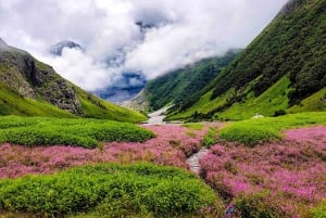 Privat tur i gamla och nya Delhi, hel- eller halvdagsutflykt