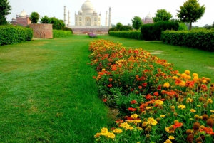 Delhistä: 4 päivää Delhi -Agra -Jaipur Tour (Delhi -Agra -Jaipur)