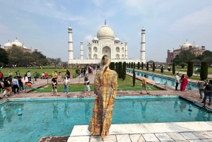 From Delhi: 4 Days Guided Tour to Agra, Ranthambore & Jaipur