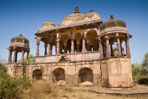 From Delhi: 4 Days Guided Tour to Agra, Ranthambore & Jaipur