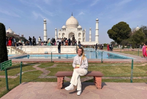 Vanuit Delhi: 4-daagse rondleiding naar Agra, Ranthambore & Jaipur