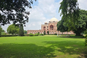 Från Delhi: 5–8 timmars anpassningsbara guidade turer