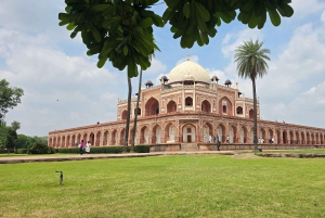Från Delhi: 5–8 timmars anpassningsbara guidade turer
